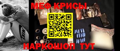 стаф Гай