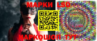 стаф Гай