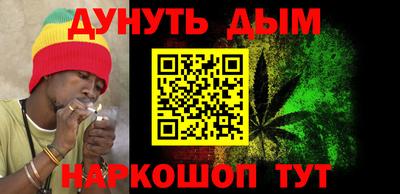 стаф Гай