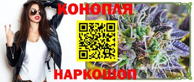стаф Гай