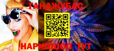 стаф Гай