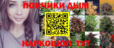 гидра Гагарин