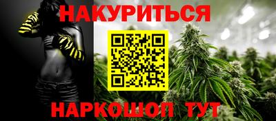 стаф Гай