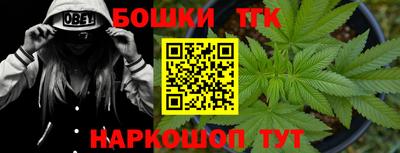 гидра Гагарин