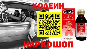 стаф Гай