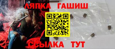 стаф Гай