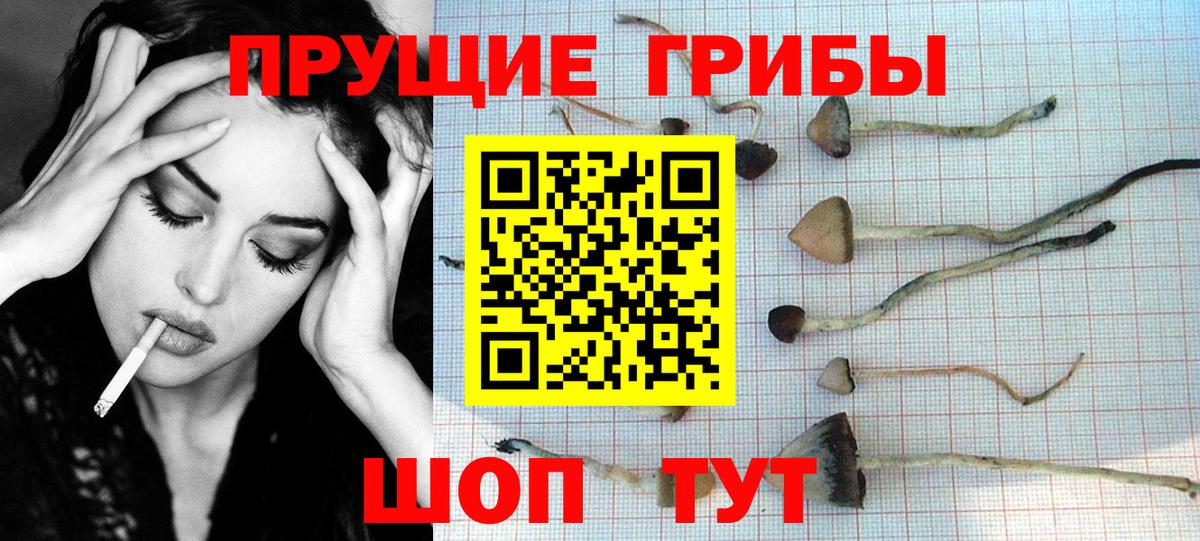 Галлюциногенные грибы Cubensis Острогожск